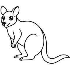 Tree Kangaroo vector illustration white background
