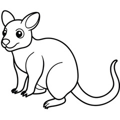 Tree Kangaroo vector illustration white background