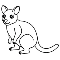Tree Kangaroo vector illustration white background