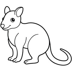 Tree Kangaroo vector illustration white background