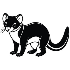 Weasel vector illustration white background