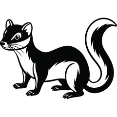 Weasel vector illustration white background