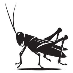 Detailed Black Grasshopper or Locust Vector Silhouette