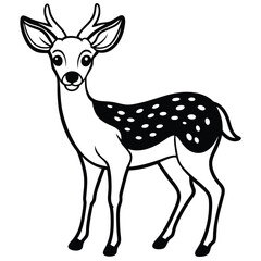 White Tailed Deer vector illustration white background