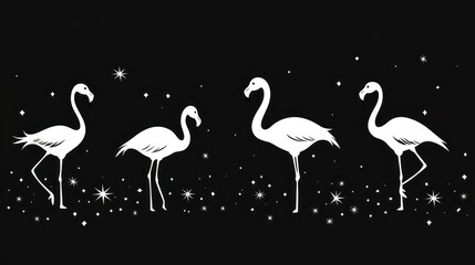 Obraz premium White flamingos on black background with stars