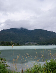 Tranquil Lakeside Scene with Mountain View and Reeds, Greenlake, Whistler, BC. 