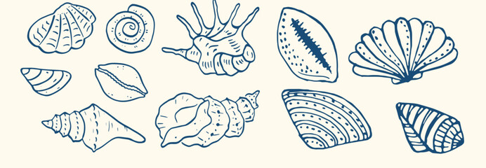 Set of hand drawn seashells drawing ink. Minimalist line art. Summer vacation design elements for trendy prints, label, menu cover. Tropical beach shells. Vector flat illustration.