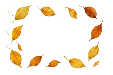 Obraz premium Autumn leaves in warm yellow and orange tones cascading artfully, forming natural decorative border against transparent backdrop