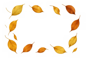 Autumn leaves in warm yellow and orange tones cascading artfully, forming natural decorative border against transparent backdrop