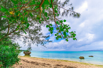  木々の間から見える梅雨の石垣島の海辺の景色
