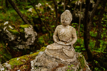 stone statue of buddha in the forest 
