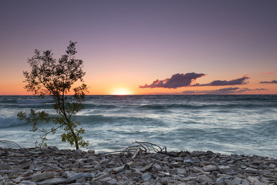Sunset Tree Lake Huron