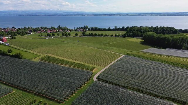 Weingut bei Meersburg bei Tag 