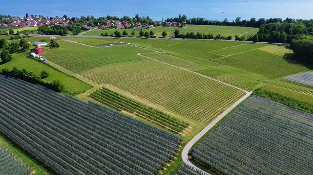 Weingut bei Meersburg bei Tag 
