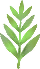 나뭇잎,잎,식물,줄기,나뭇가지,가지,자연,풀,풀잎