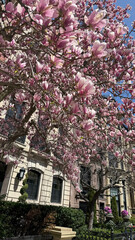 Boston, New England, City, Skyline, Beach, Ocean, Mansions, Cape Cod, Rhode Island, Providence, Beacon Hill, Boston Commons, New Hampshire, Maine, Massachusetts, Capitol, State House