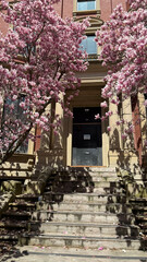 Boston, New England, City, Skyline, Beach, Ocean, Mansions, Cape Cod, Rhode Island, Providence, Beacon Hill, Boston Commons, New Hampshire, Maine, Massachusetts, Capitol, State House