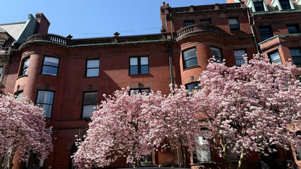 Boston, New England, City, Skyline, Beach, Ocean, Mansions, Cape Cod, Rhode Island, Providence, Beacon Hill, Boston Commons, New Hampshire, Maine, Massachusetts, Capitol, State House