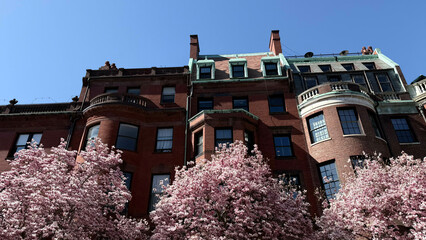Boston, New England, City, Skyline, Beach, Ocean, Mansions, Cape Cod, Rhode Island, Providence, Beacon Hill, Boston Commons, New Hampshire, Maine, Massachusetts, Capitol, State House