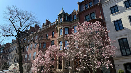 Boston, New England, City, Skyline, Beach, Ocean, Mansions, Cape Cod, Rhode Island, Providence, Beacon Hill, Boston Commons, New Hampshire, Maine, Massachusetts, Capitol, State House