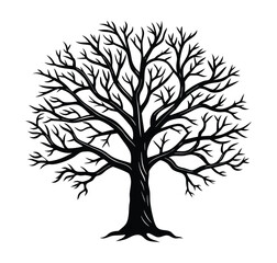 Obraz premium Elegant vector tree silhouette isolated on white, perfect for nature and season designs