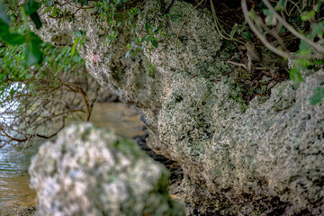  石垣島の海岸沿いで見つけた静かな岩場の陰