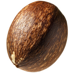 Isolated shea nut image