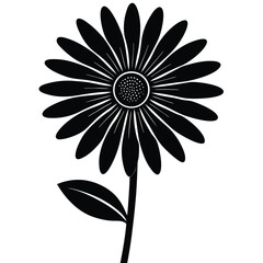 black and white daisy