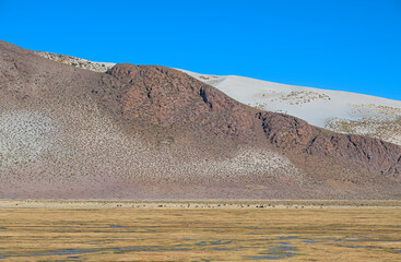 Arid High Mountains Plains in the Andes