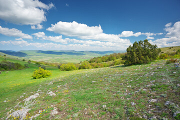 Mountain meadow and valley at day.