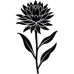 black and white flower