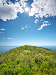 View on the the top of Island. High angle view of trees by sea against sky.