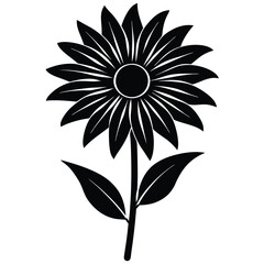 black and white sunflower