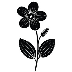 black and white flower isolated