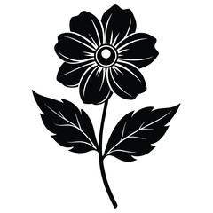 black and white flower