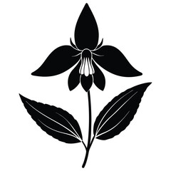 silhouette of a flower