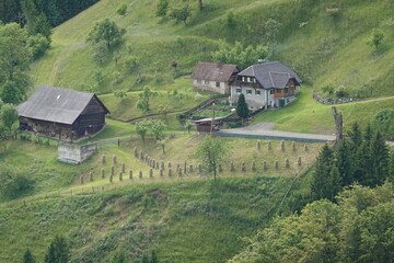Haystacks . Heuhiefl . Heuschober . Heumännchen