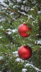 Vibrant red bauble rests on snowy pine needles,  winter,  festive,  background