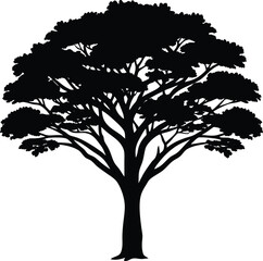 Obraz premium Silhouette of an Eerie Haunted Tree