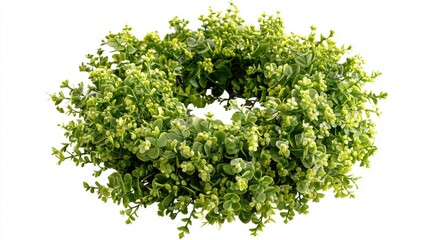 Naklejka premium Verdant Wreath Fresh Green Foliage Circle on White.