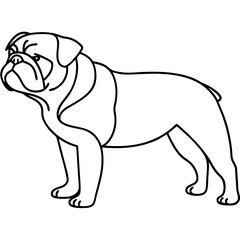 Obraz premium English Bulldog Canis familiaris illustration. Strong English Bulldog breed dog standing profile. This powerful dog breed image is perfect for pet lovers and dog breeders.