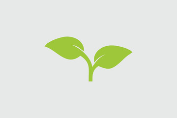 Two Green Leaf Logo Design Template, Nature Leaf Logo