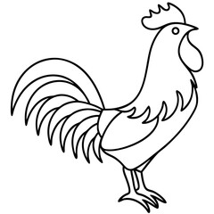 Fototapeta premium Rooster illustration, line art style, black and white, for farm designs
