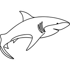 Obraz premium Great white shark line drawing, for educational purposes