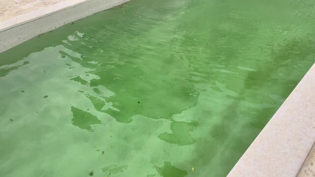 Abandoned green pool with floating debris and strong wind creating waves. Concept of neglected leisure.
