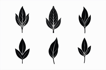 Fototapeta premium set of sage leaf silhouette vector illustration