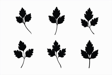 set of coriander leaf silhouette vector illustration