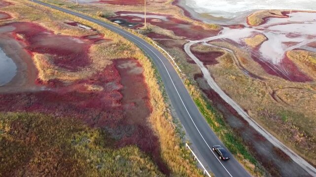 Car traveling along a road through Bilosaraysky Ornithological Reserve with vibrant red algae and wetlands, near Mariupol, Ukraine