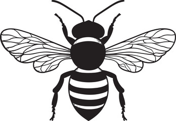 vector illustration of a wasp