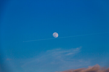 Spring in Paris. Blossom and architecture. High resolution photo.	